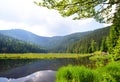 Kleiner Arbersee lake in the Bavarian forest,Germany.