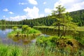 Kleiner Arbersee lake, Germany.