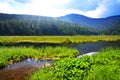 Kleiner Arbersee lake in the National park Bavarian forest,Germany.