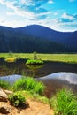 Kleiner Arbersee lake in the National park Bayerische Wald, Bavaria.