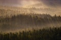 Kleiner Winterberg silhouettes, Saxon Switzerland, Germany