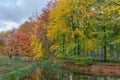 Kleurige bomenrij in de herfst Royalty Free Stock Photo