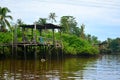 Klias River in Malaysia Royalty Free Stock Photo