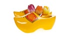 Klompen Royalty Free Stock Photo