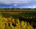 Klondike Mountains at Yukon, Canada Royalty Free Stock Photo