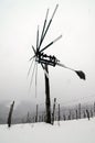 Klopotec bird scarer in austrian vineyard in winter