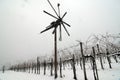Klopotec scarecrow in austrian vineyard in winter Royalty Free Stock Photo