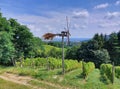 klopotec - wooden mechanical device - bird scarer in the vineyard. Grape bushes on hill. Pohorje mountain. Europe. Slovenia Royalty Free Stock Photo