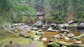 Klostermannuv Bridge, Sumava National Park