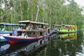 Klotok, river boats on Sekonyer river, Indonesia Royalty Free Stock Photo