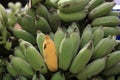 Kluai Namwa banana Royalty Free Stock Photo