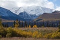 Kluane National Park scenic, Yukon Royalty Free Stock Photo