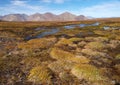 Kluane national park