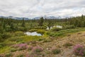 Kluane range