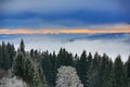 220 km distant peaks of the Alp, Cloudes and trees, winter landscape in ÃÂ umava in ÃÂ½eleznÃÂ¡ Ruda, Czech republic