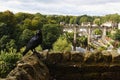 Knaresborough RavenYorkshireTown in England