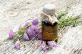 Knautia arvensis and pharmaceutical bottle