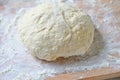 Kneaded ball of bread dough