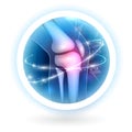 Knee joint repair