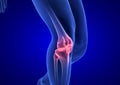 Knee Pain. Blue Human Anatomy Body 3D render on blue background