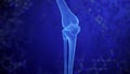 KNEE skeleton x-ray scan in blue. Joint anatomy in x ray. Science, technology, health care or medical background. Part of Human