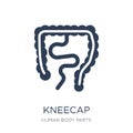 Kneecap icon. Trendy flat vector Kneecap icon on white background from Human Body Parts collection