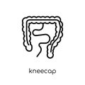 Kneecap icon. Trendy modern flat linear vector Kneecap icon on w