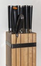 Knife block made of wood with different steel knives with black handles close-up