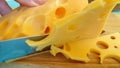 Knife cuts Swiss cheese organic on a wooden, slow-motion shot
