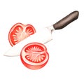 A knife cutting a tomato. Watercolor illustration. Isolated on a white background. For design.