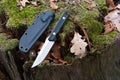 Knife with a fixed blade and plastic sheath on a stump. Stump and oak leaf Royalty Free Stock Photo