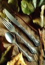 Fork knive and spoon