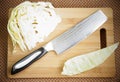 Knife kitchen with a blade from Damask steel