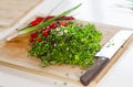 Knife and minced herbs. Green onion, chili pepper Royalty Free Stock Photo