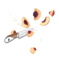 A knife and a peach cut in half Royalty Free Stock Photo