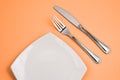 Knife, square white plate, fork on pink top view