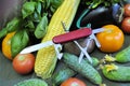 Knife stainless steel blade red handle fresh organic natural gourmet diet product longevity ripe green cucumbers yellow corn tomat