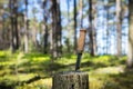 Knife stuck upright by the point in an old stump at a campsite in a forest