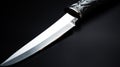 Artistic Silver Kitchen Knife: Backlit Secessionist Style With Strong Realism