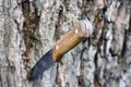 Knife with a wooden handle Royalty Free Stock Photo
