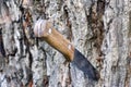 Knife with a wooden handle Royalty Free Stock Photo