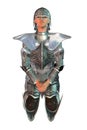 Knigh in armor Royalty Free Stock Photo