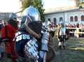 Knight with axe Royalty Free Stock Photo