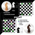 Knight. Chess piece made in the form of illustrations and icons.