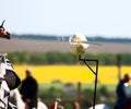 Knight cuts a head of cabbage in a big way Royalty Free Stock Photo