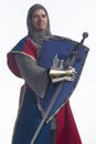 Knight in full armor with shield and sword, vertical