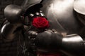 Knight giving a rose to lady Royalty Free Stock Photo