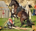 Knight had fallen from his horse