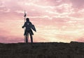 Knight with halberd Royalty Free Stock Photo