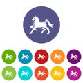 Knight horse mascot icons set vector color Royalty Free Stock Photo